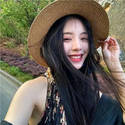 高速路上一只猫