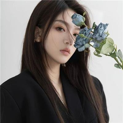 光荣之路上的狗